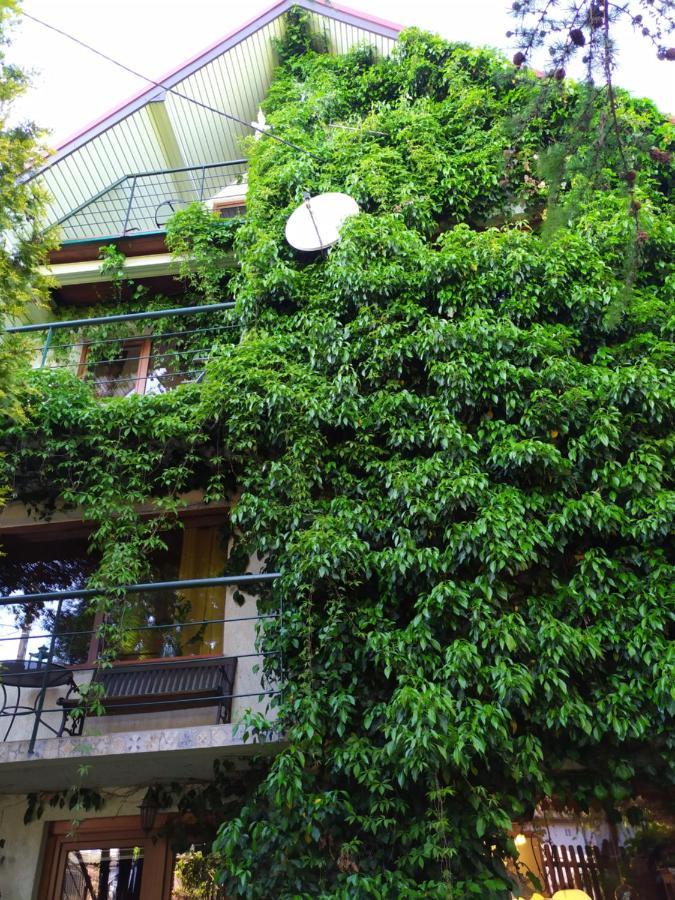 Pokoje Kaja Jeleniewo  Exterior foto